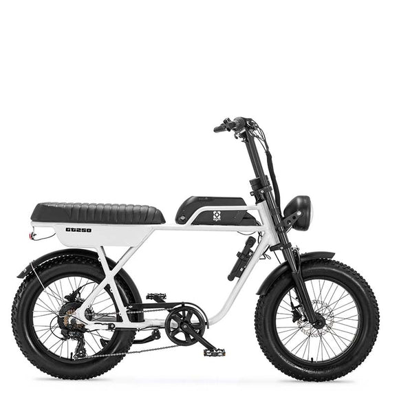 ELEKTRISCHE FATBIKE AGM GT250