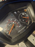 PEUGEOT KISBEE SNORSCOOTER